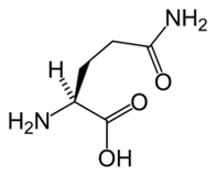 Keto Diet'te L-glutamin